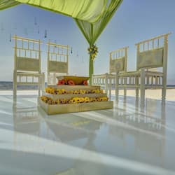 Outdoor wedding area