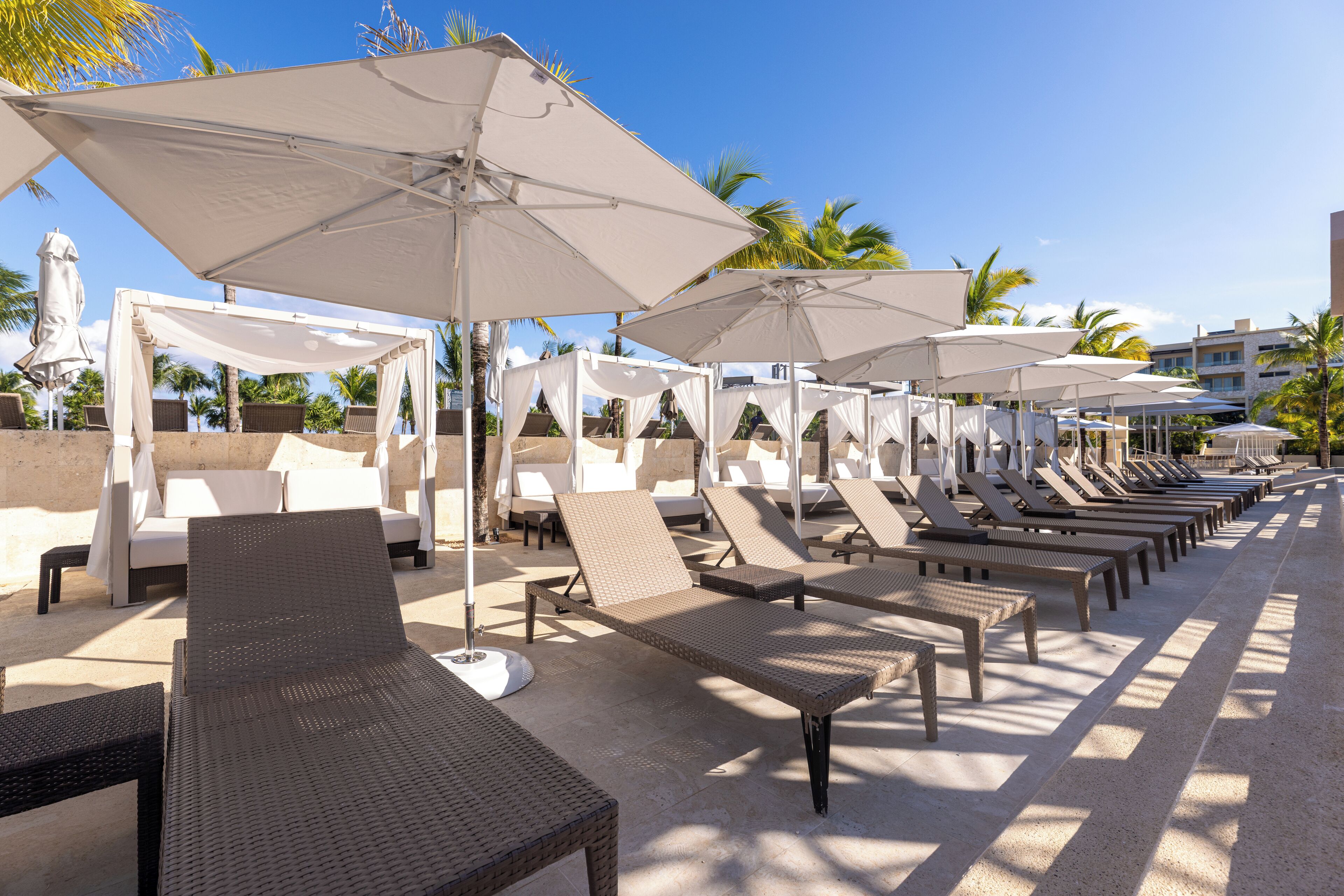 A row of sun loungers and umbrellas, with a clear sky and palm trees in the background.