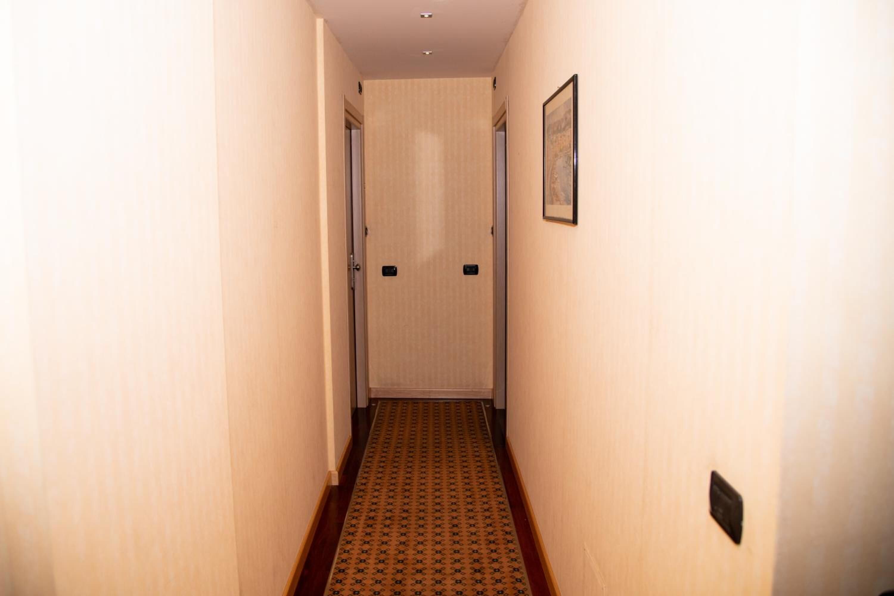 Un couloir étroit, recouvert d’un tapis à motifs, avec deux portes au fond et un tableau encadré au mur.