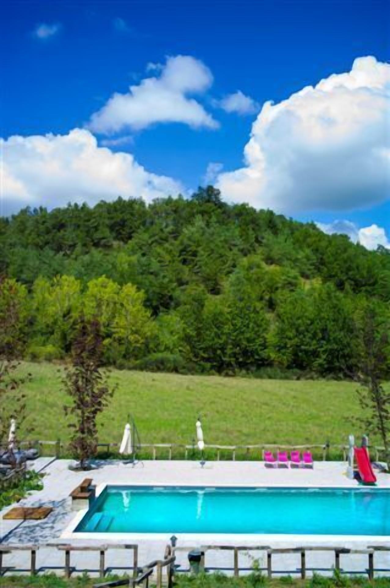 A swimming pool with a wooden deck, surrounded by a grassy area and trees.
