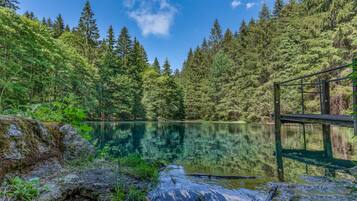 Ein ruhiger See, umgeben von dichtem Wald, mit einem hölzernen Steg, der ins Wasser führt, und einem strahlend blauen Himmel.
