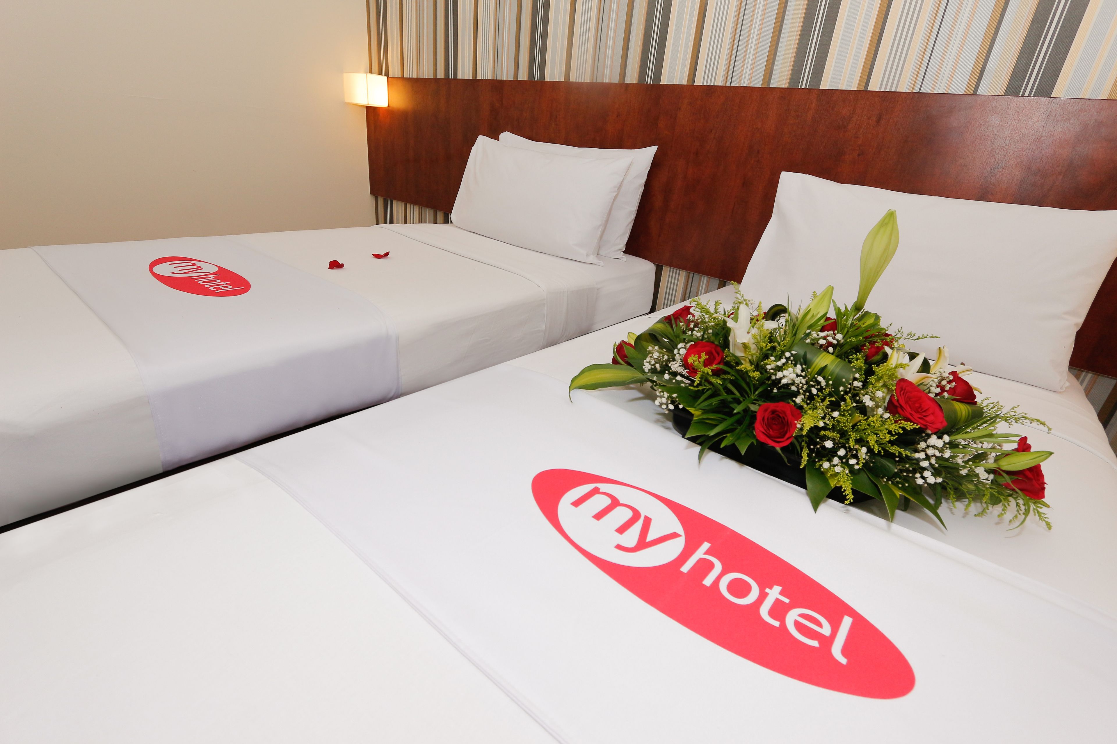 Foto - My Hotel @ KL Sentral