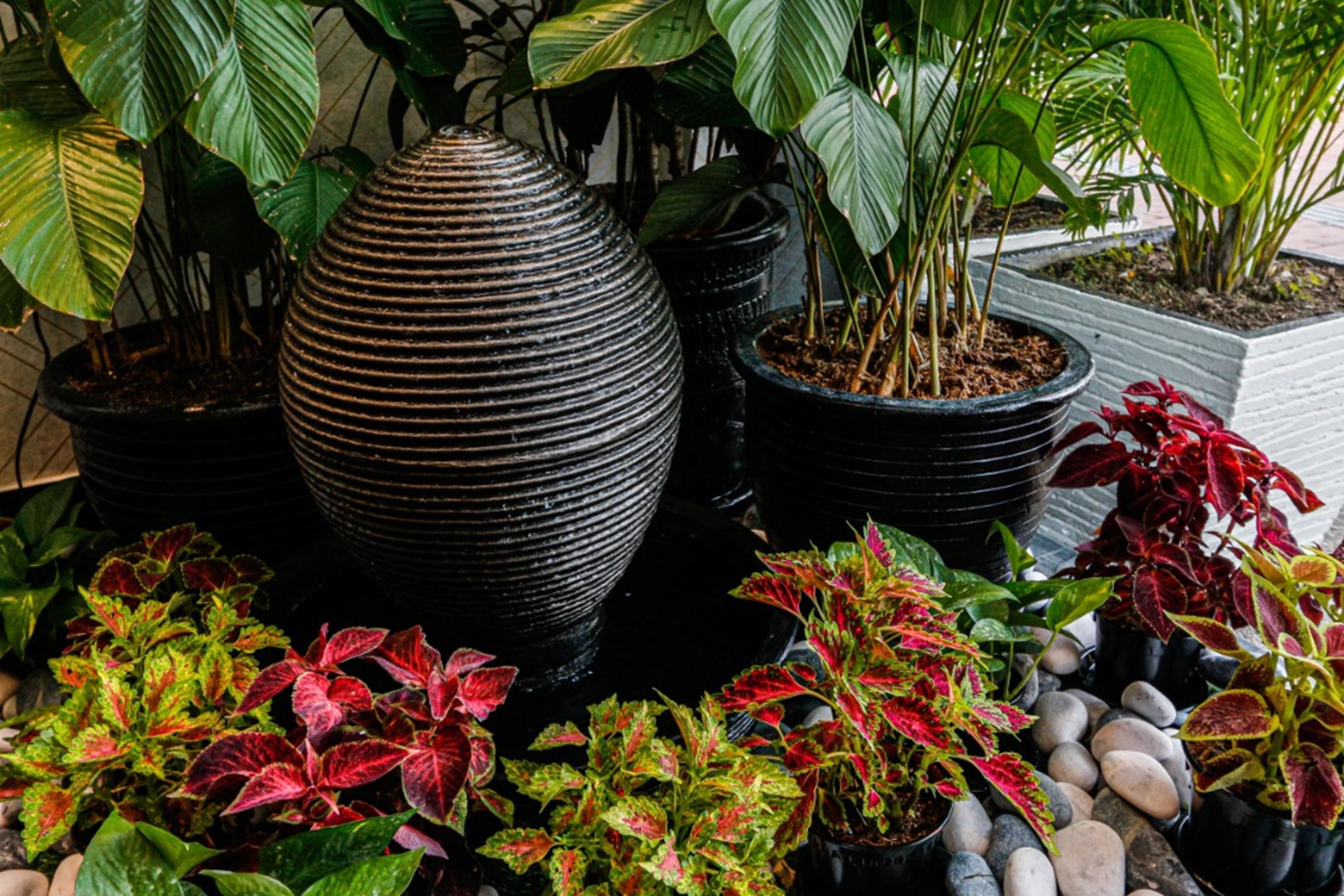 Foto - My Hotel @ KL Sentral