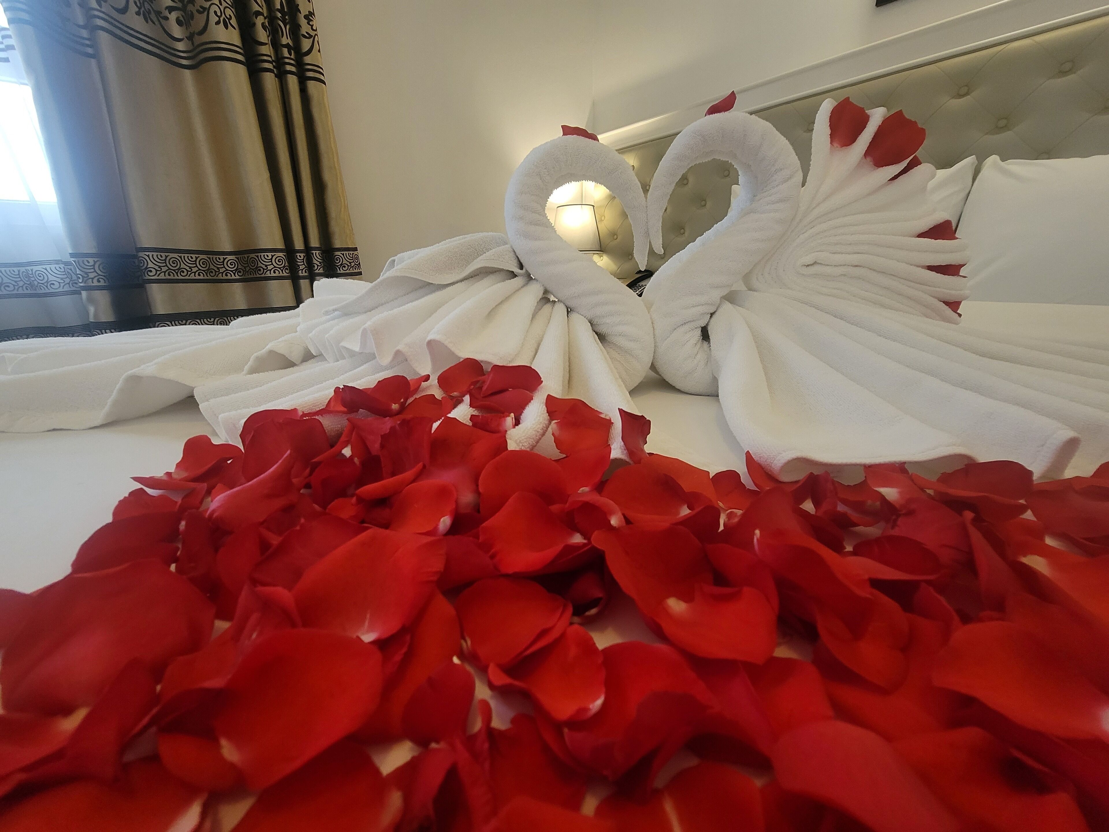 Foto - Luxor Boutique Hotel