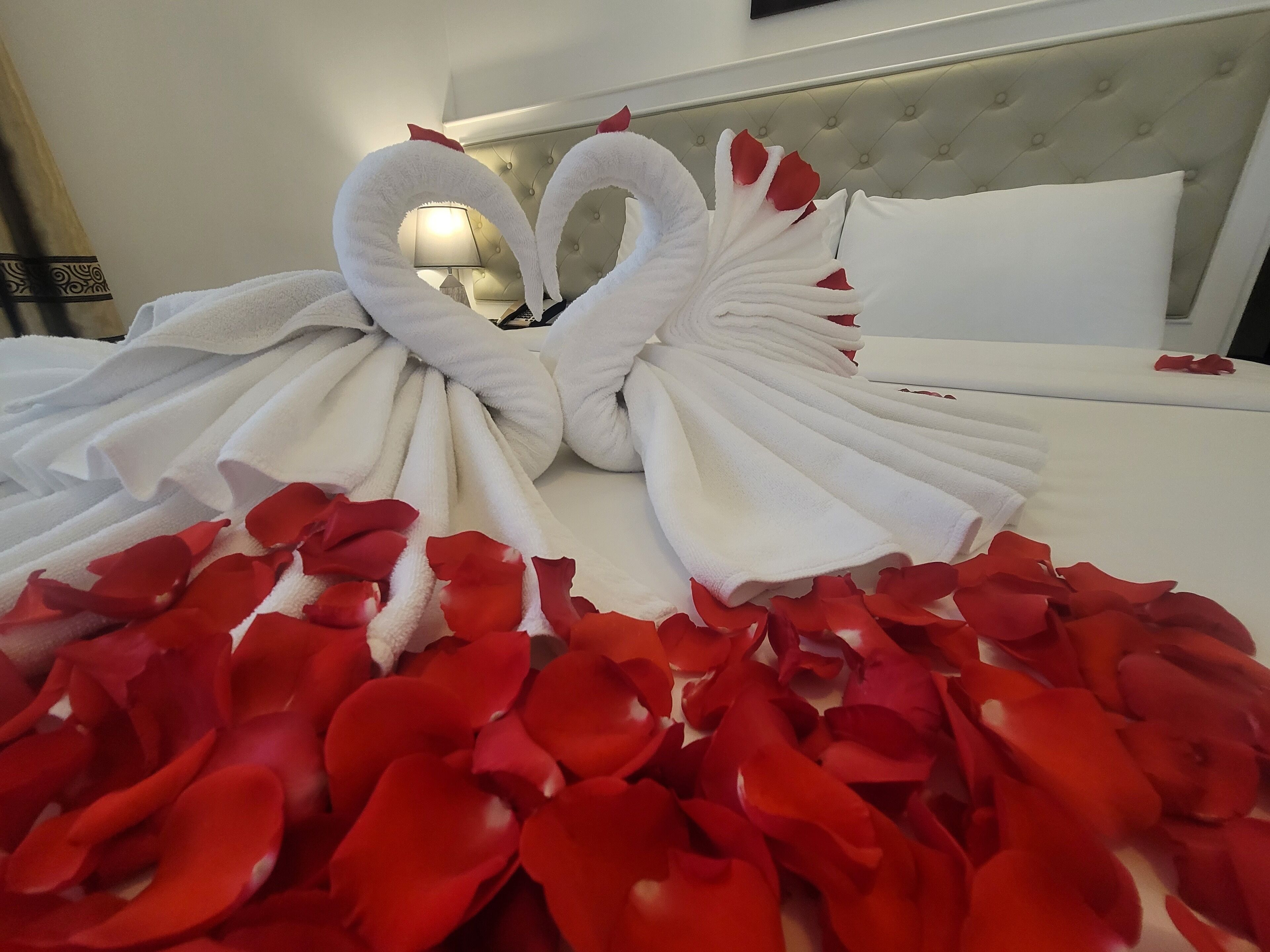 Foto - Luxor Boutique Hotel