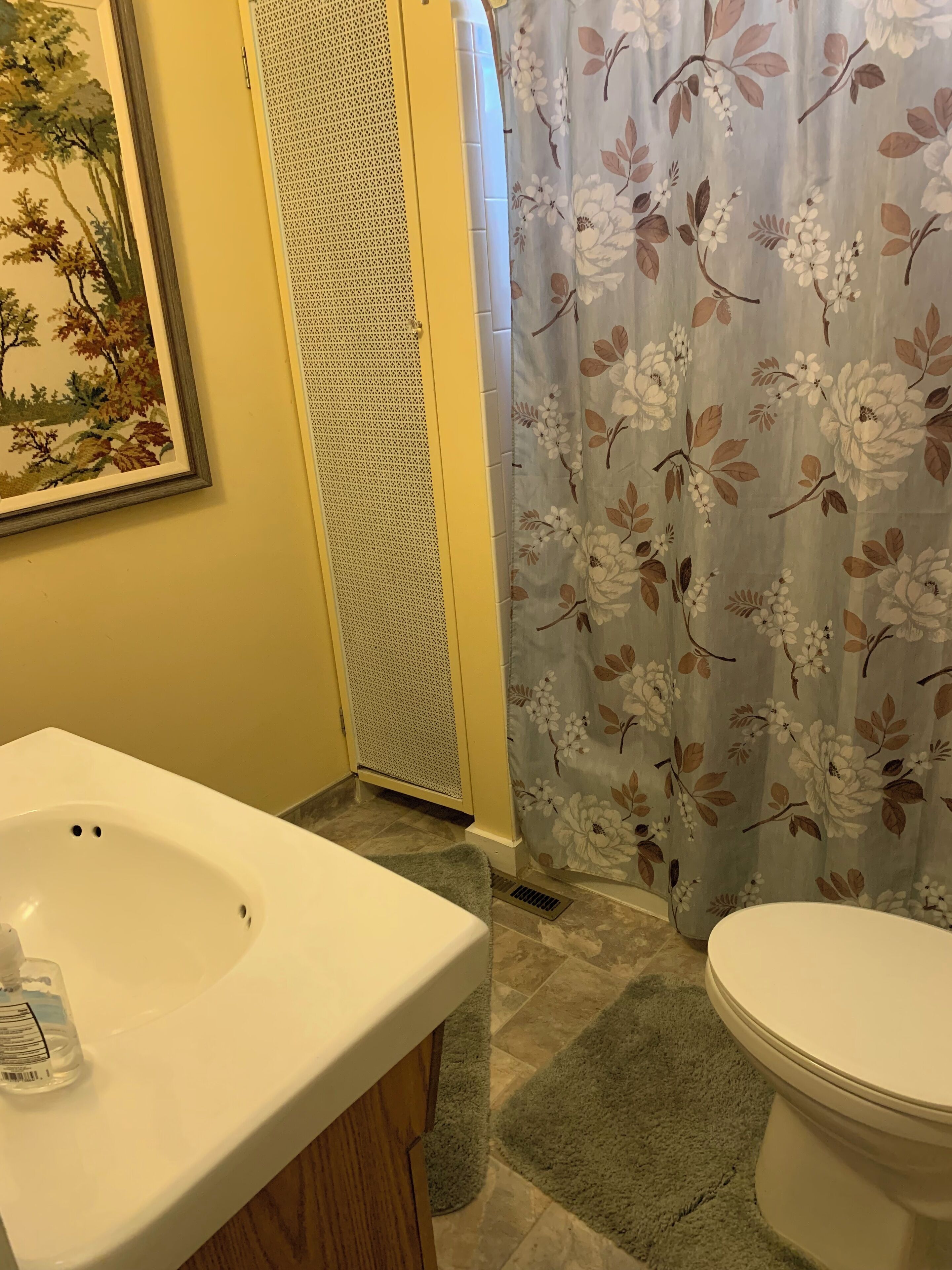 Une salle de bain avec un lavabo blanc, des toilettes, un rideau de douche à motifs floraux et un tableau encadré accroché au mur.