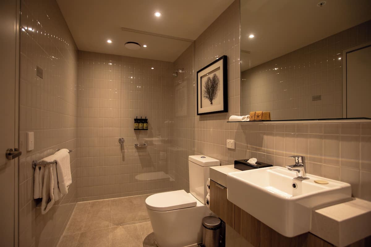 Free toiletries, hair dryer, towels