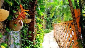 A pathway flanked by lush greenery and a wooden fence. - Pousada Presidente Hotel (Aracati)