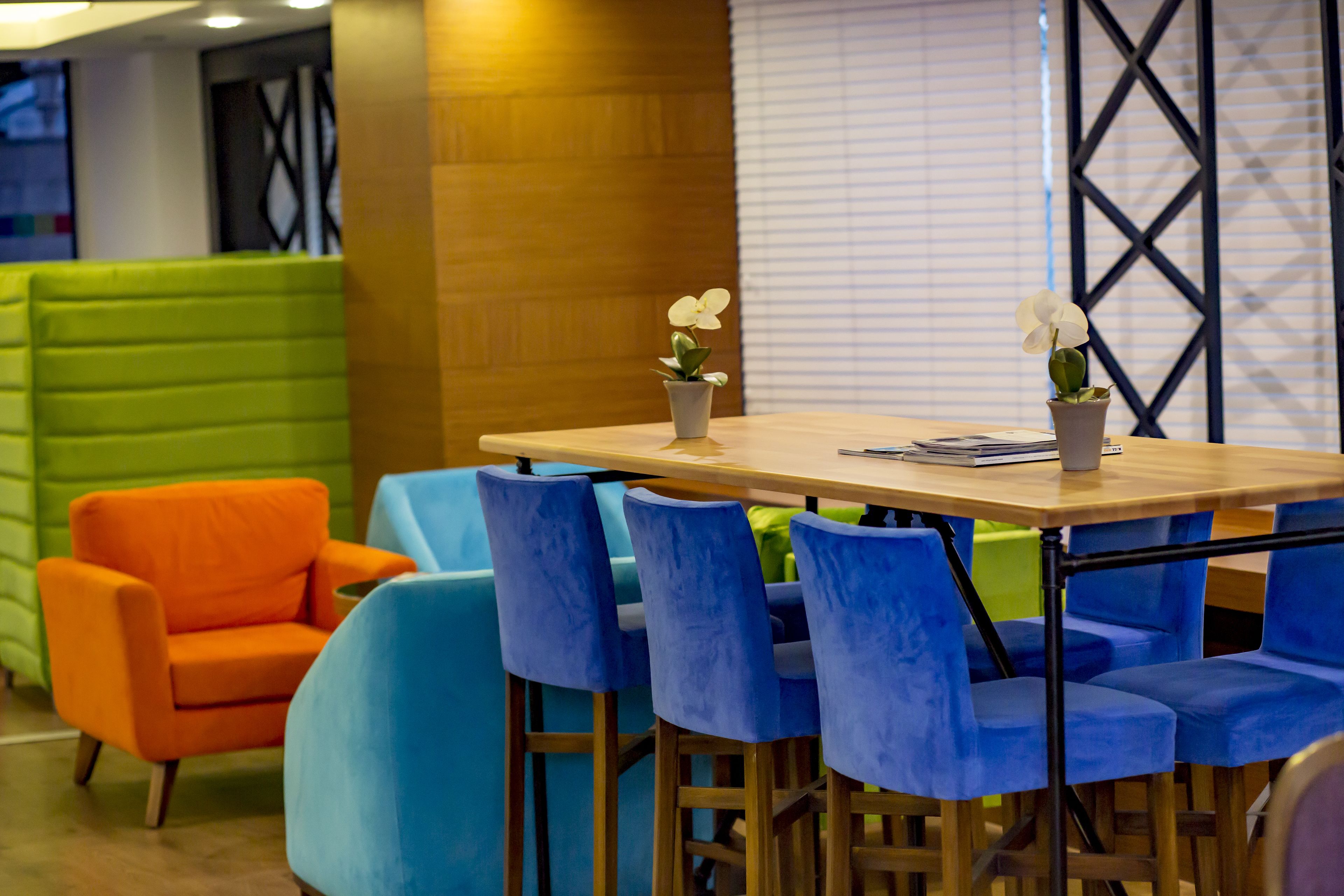 A modern meeting room with a wooden table, blue and orange chairs, and a small potted orchid.