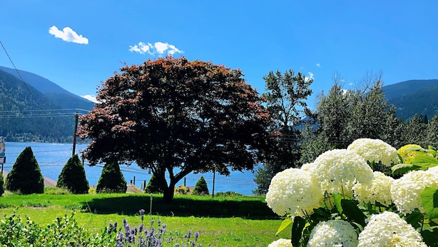 A tree-lined garden with a lake and mountains in the background. - Kokanee Glacier Resort (Nelson)