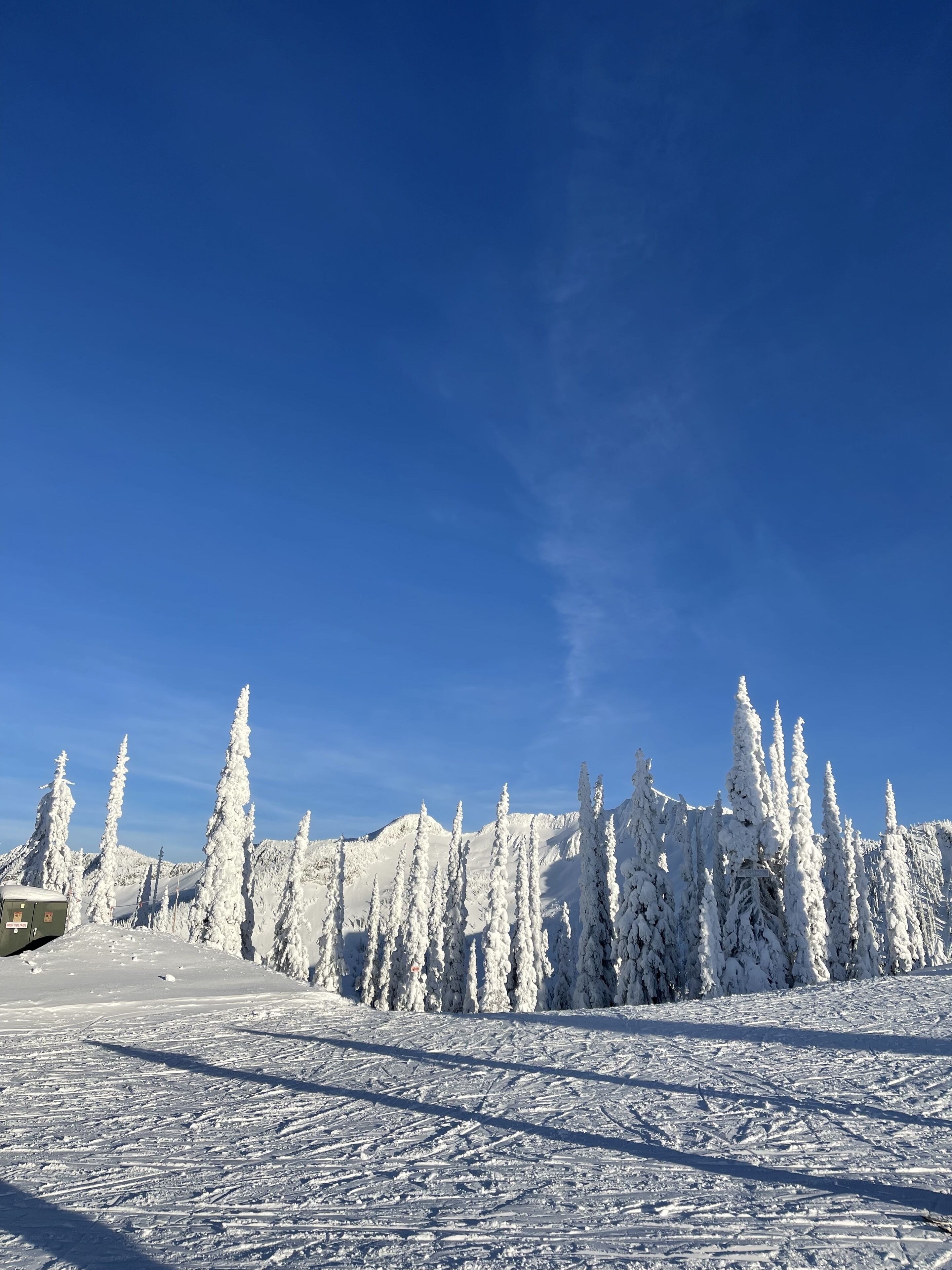 Un paysage enneigé, avec des arbres couverts de neige et un ciel bleu dégagé.
