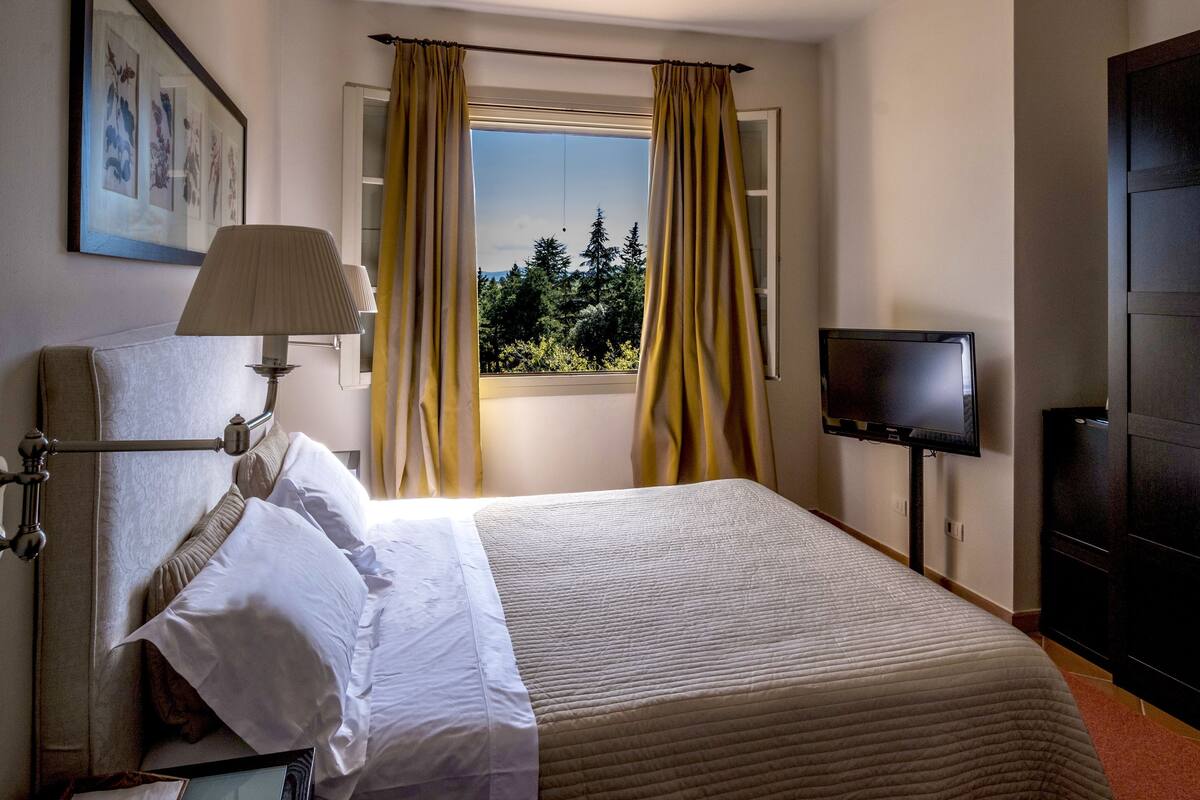 A hotel room with a bed, a TV, a window with curtains, and a lamp.