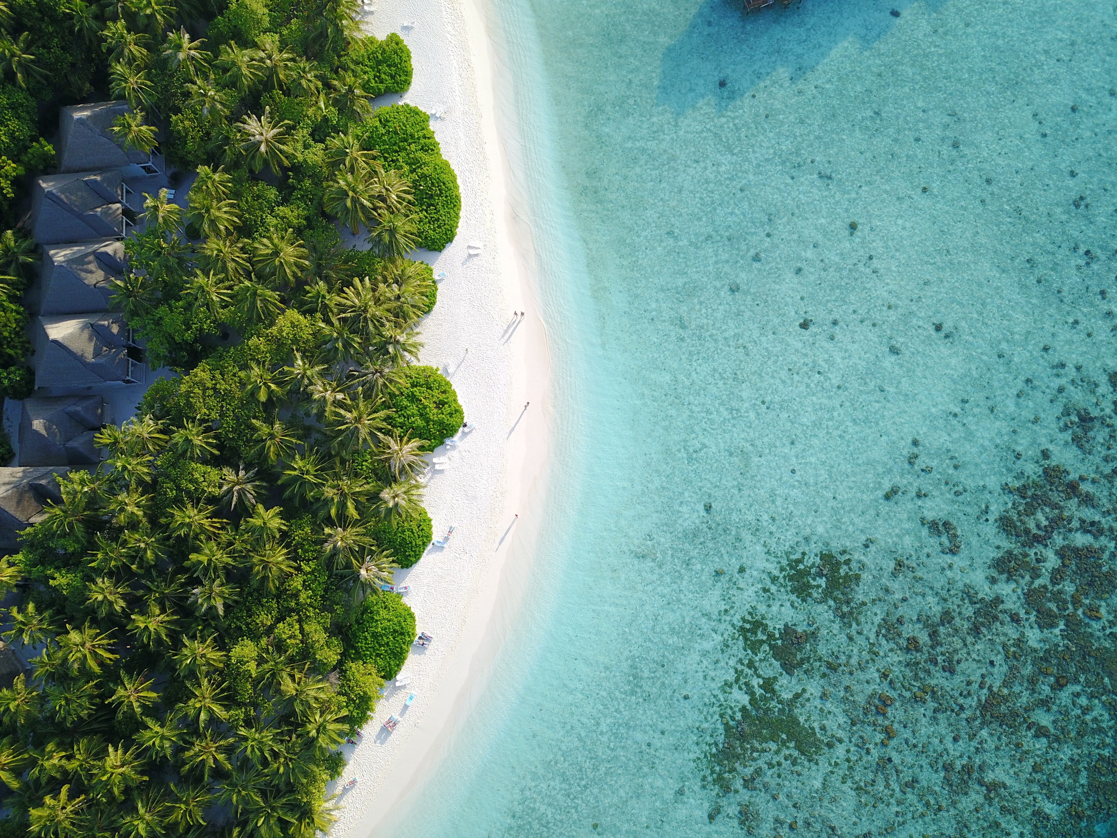 on the beach, white sand, free beach cabanas, sun-loungers