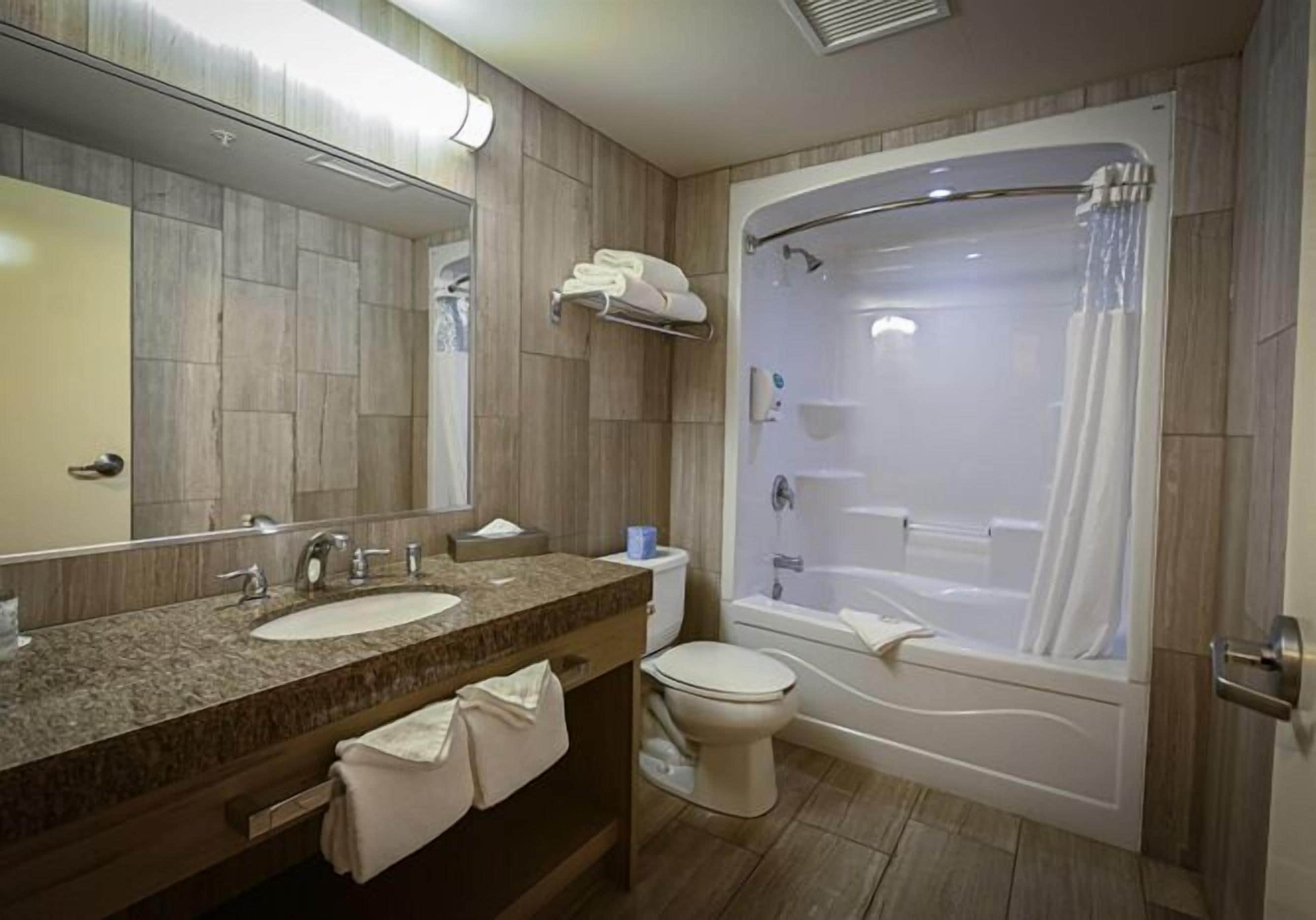 suite, 1 king bed with sofa bed | bathroom | free toiletries, hair dryer, towels, soap