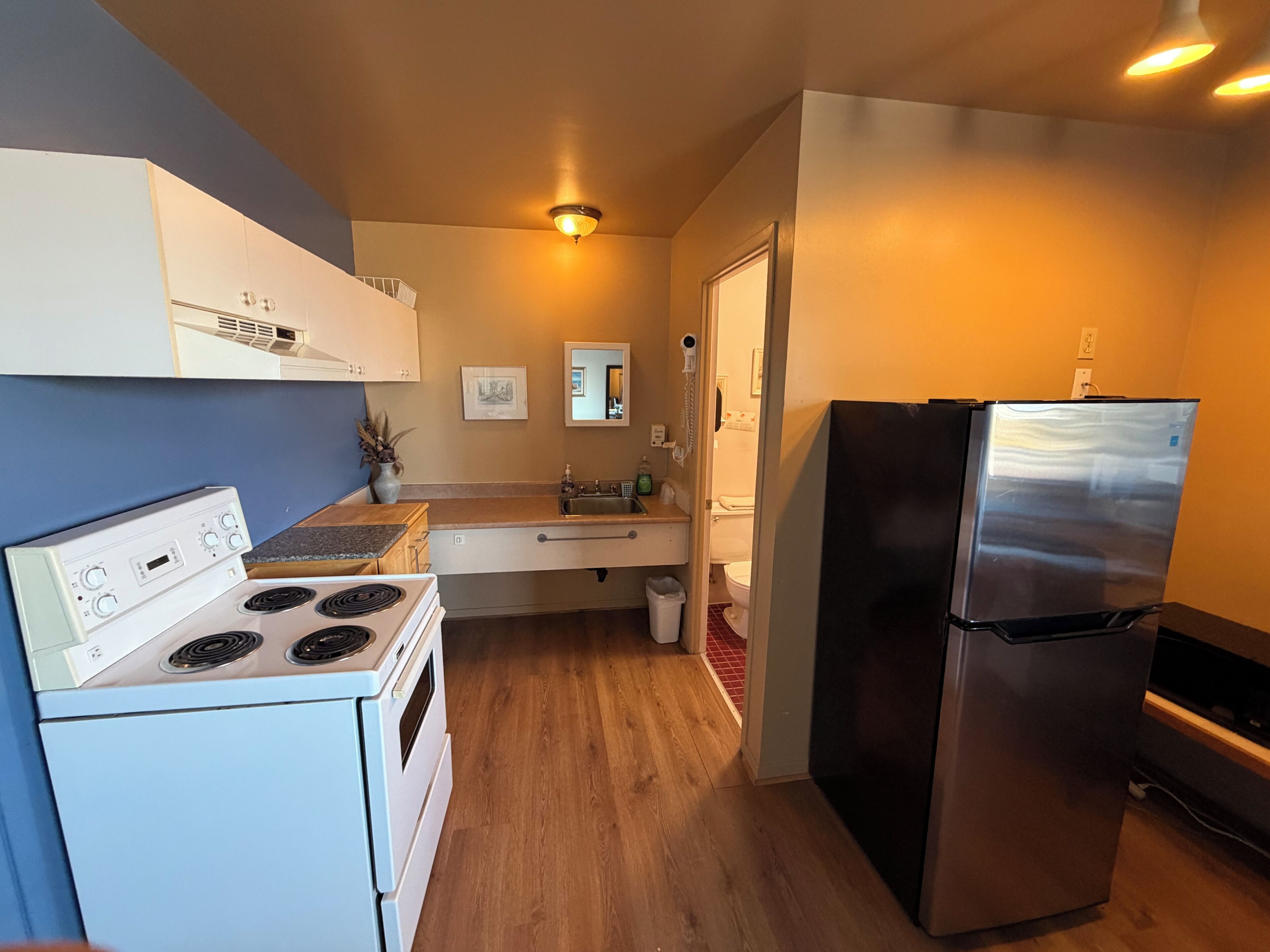 A compact kitchen with a stove, sink, and refrigerator, wooden flooring, and a small potted plant.