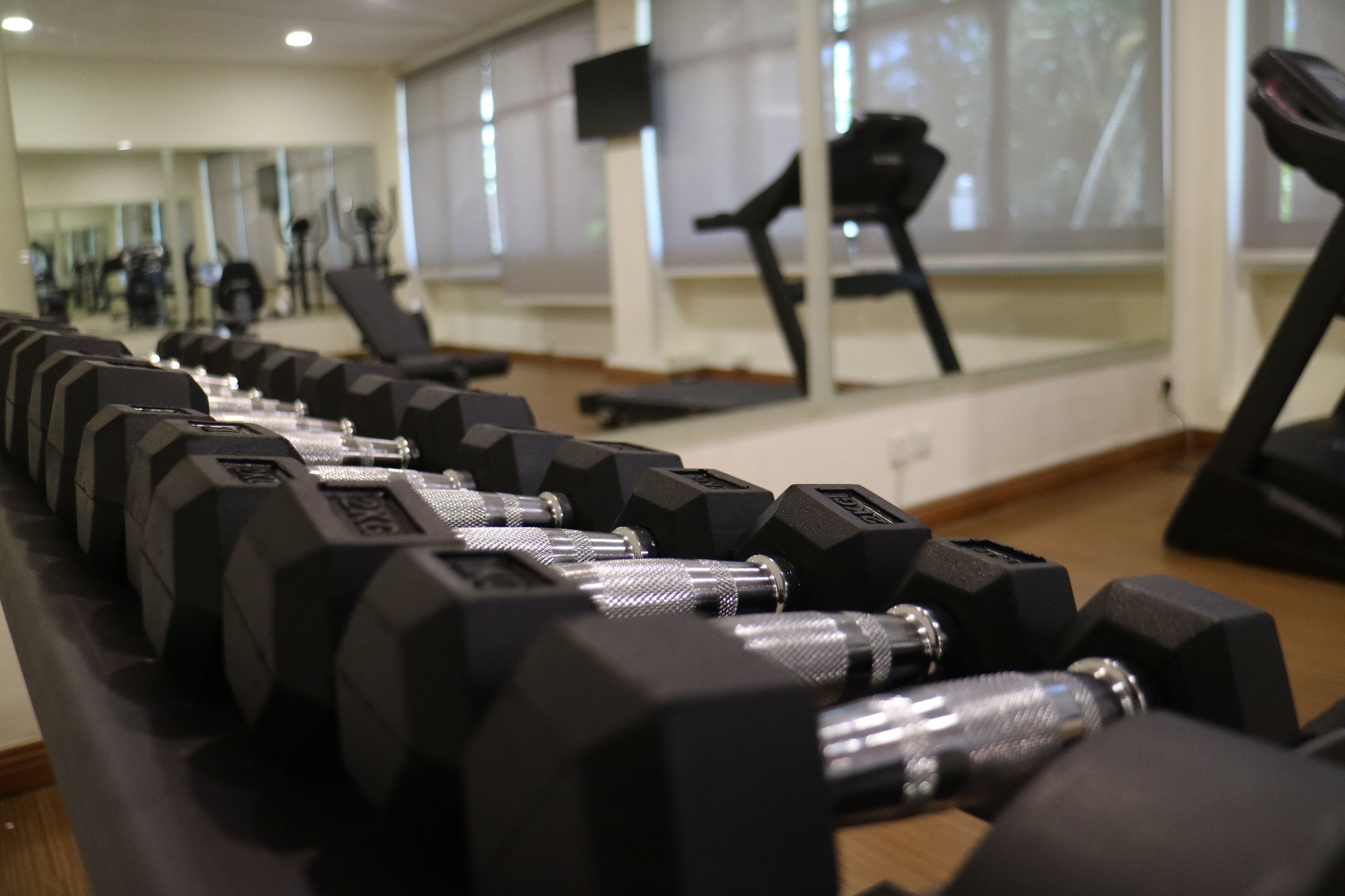 A row of black dumbbells on a bench in a gym with large windows and exercise equipment in the background.