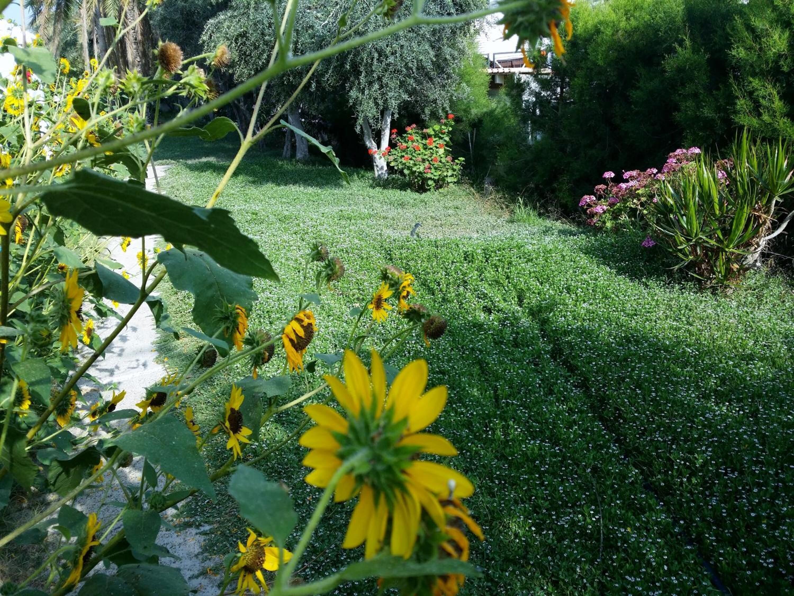 Photo - Kkaras Hotel 3 Star