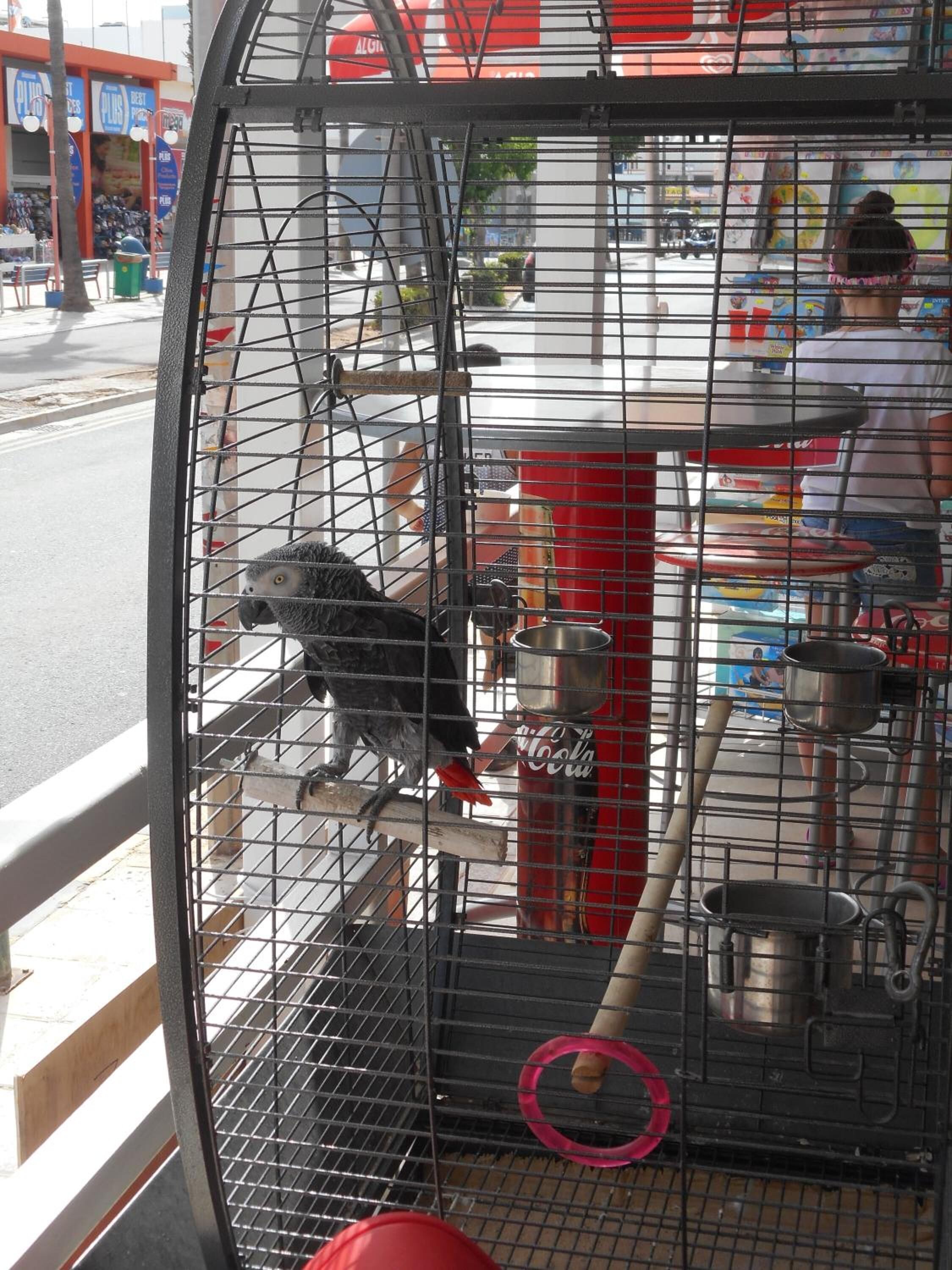 Photo - Kkaras Hotel 3 Star