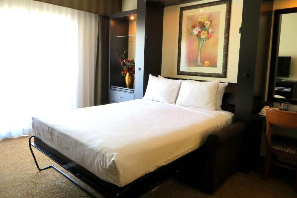 Studio Suite (1 Bathroom) | In-room safe, iron/ironing board, WiFi (free), alarm clocks