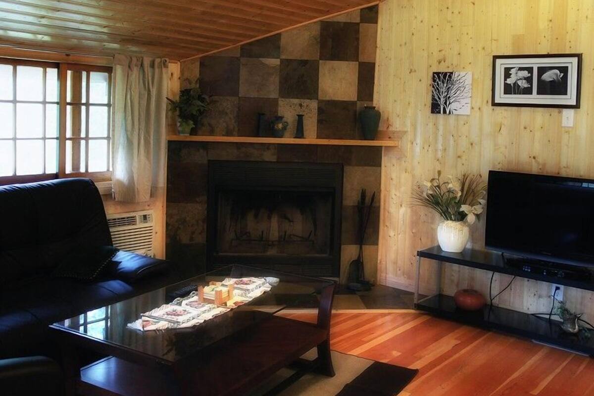 Una sala de estar con chimenea, un sofá, una mesa de centro y un televisor.