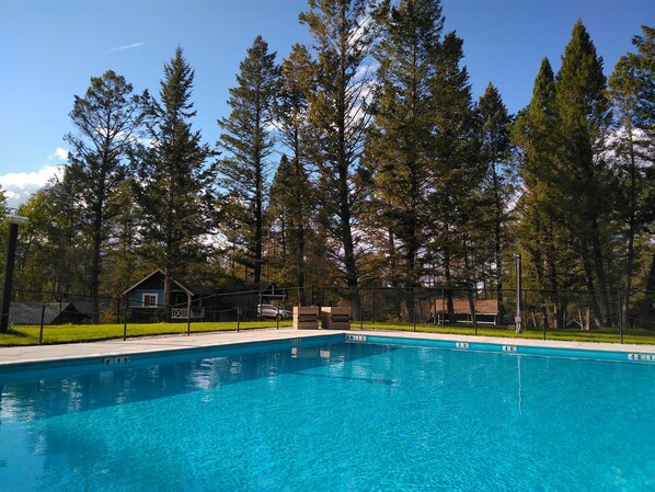 Une piscine entourée de grands arbres et délimitée par une clôture.