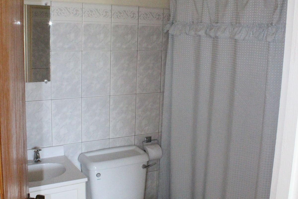 shower, rainfall showerhead, free toiletries, hair dryer