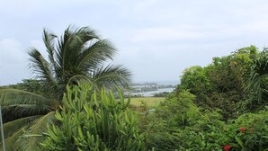 A lush garden with various plants and a view of a distant body of water. - Relax Inn Grenada West Indies (St. George's)