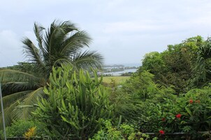 Vista desde la propiedad