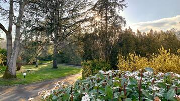A park with a paved path, trees, and flowering plants.