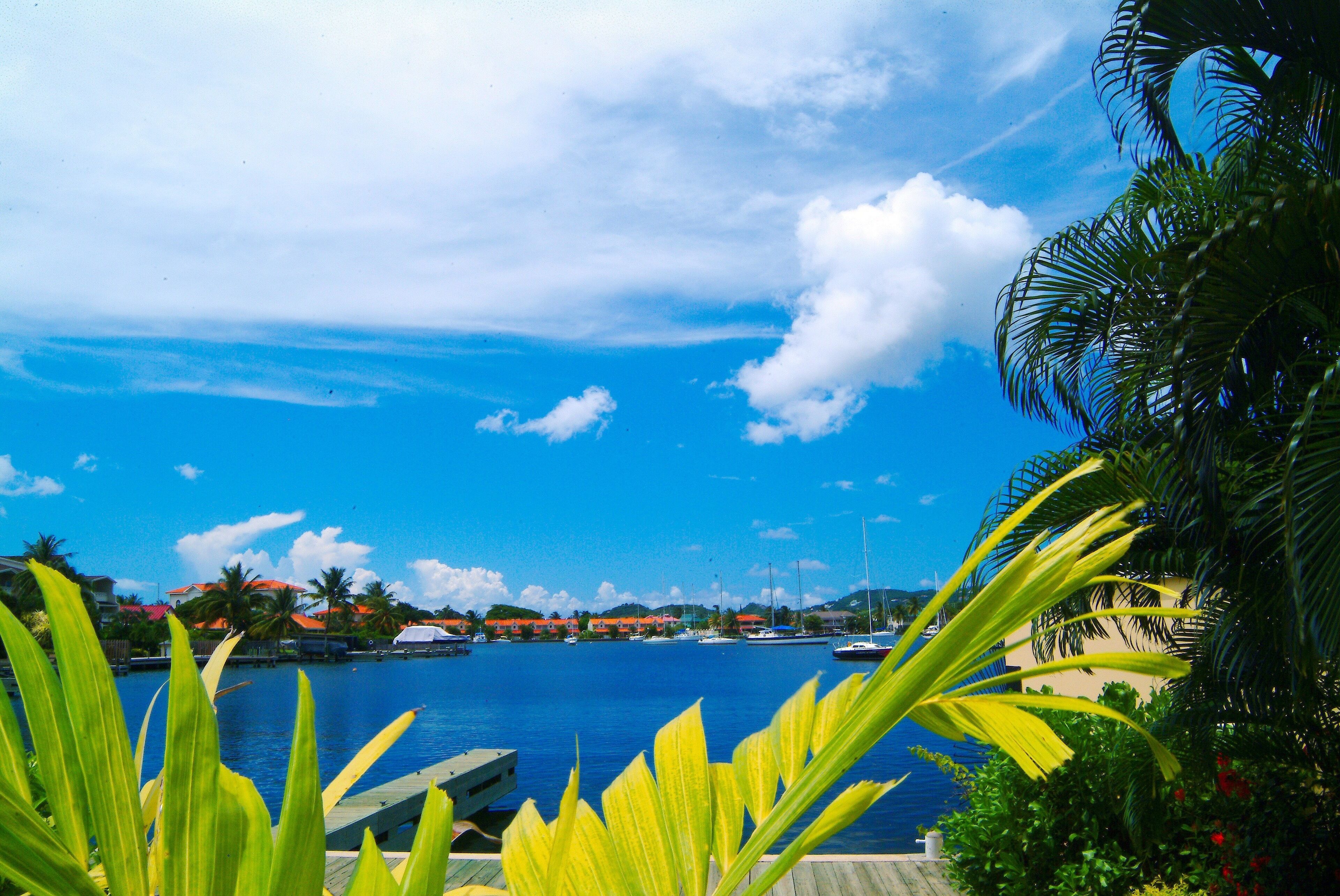 Photo - The Harbour