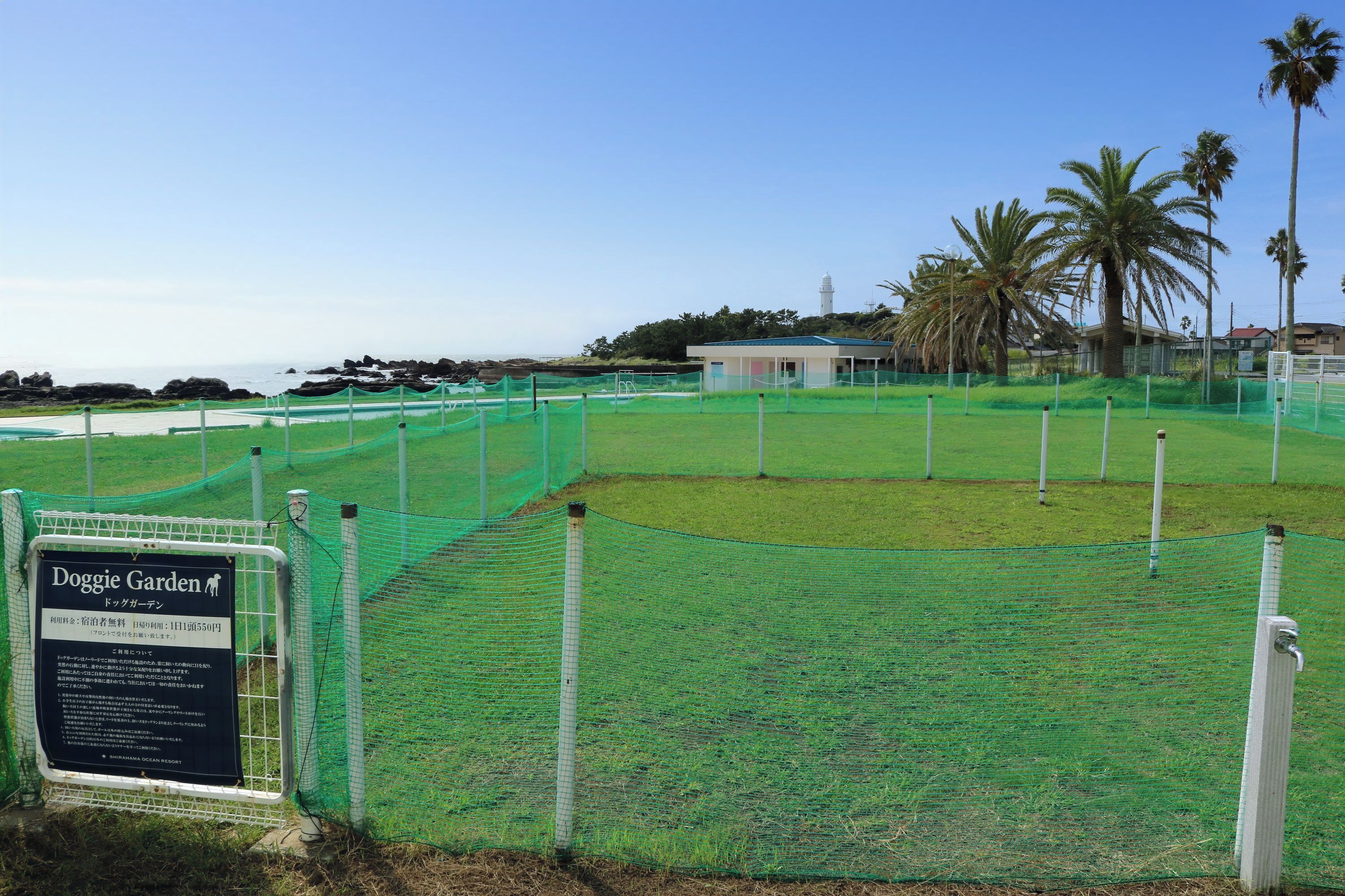 pet-friendly amenities