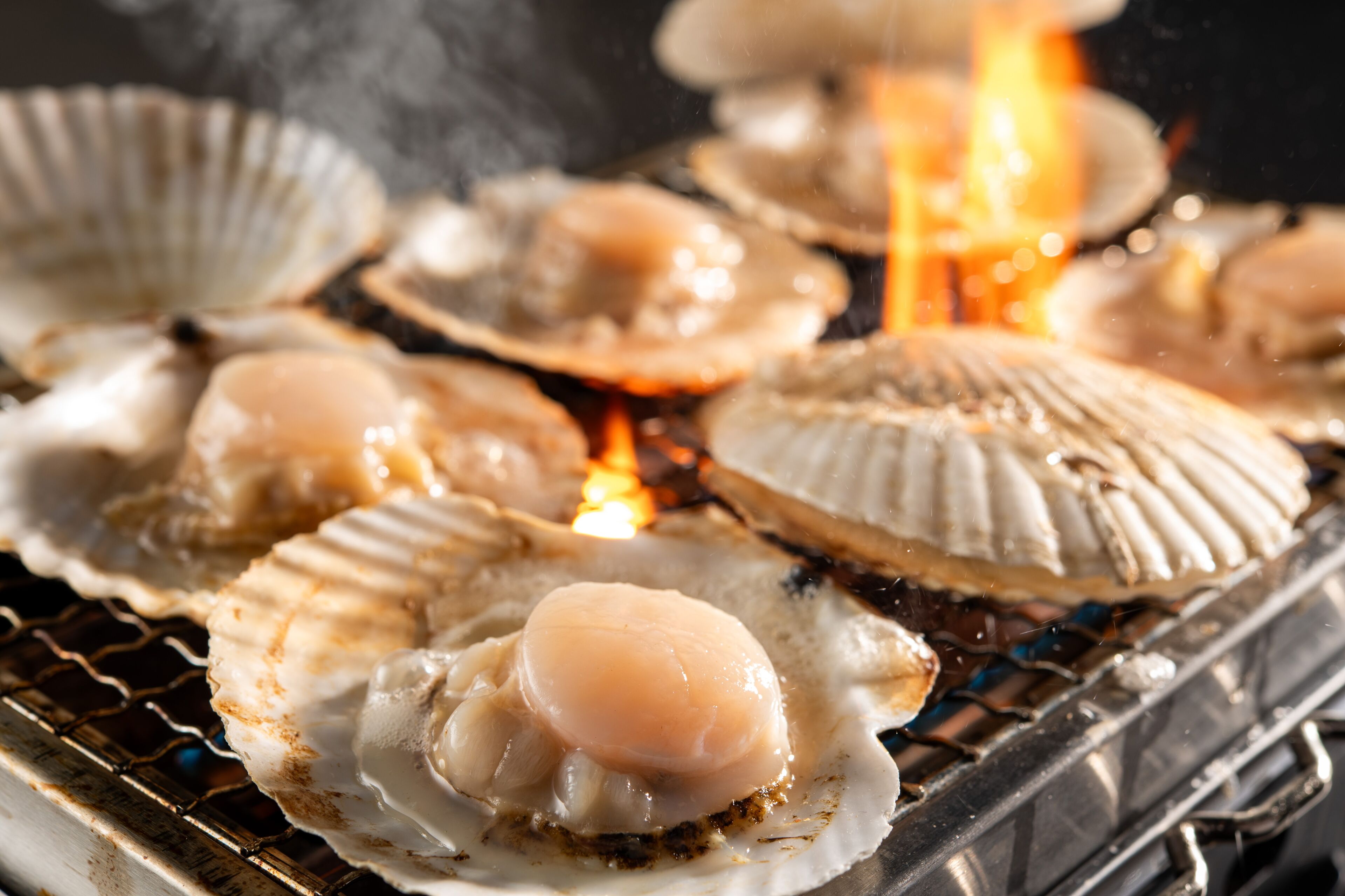 Vieiras a la parrilla.