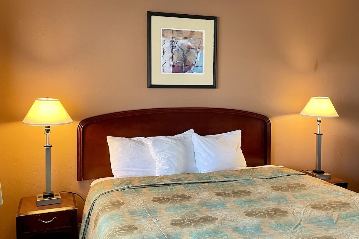 A hotel room with a large bed, two bedside lamps, a framed picture on the wall, and a patterned bedspread.