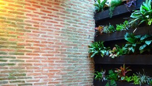 A brick wall with a vertical garden, a wooden table set with breakfast items, and wicker chairs. - Hotel Galería la Trinidad (Cartagena)