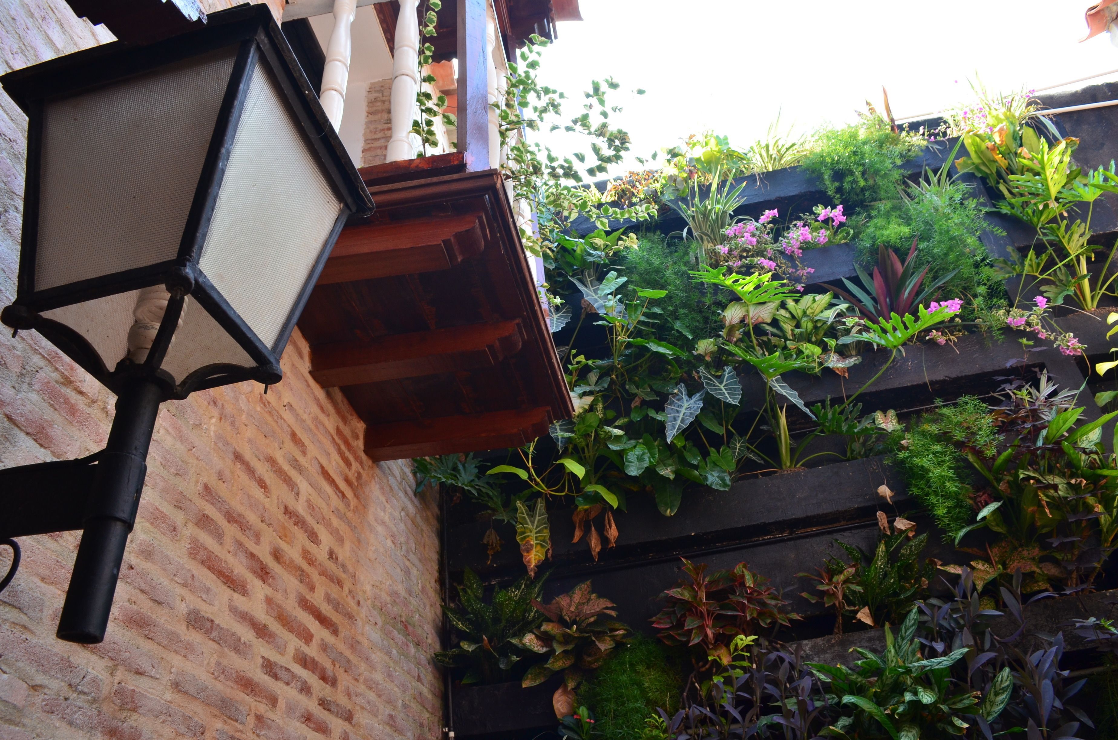 Photo - Hotel Galeria la Trinidad