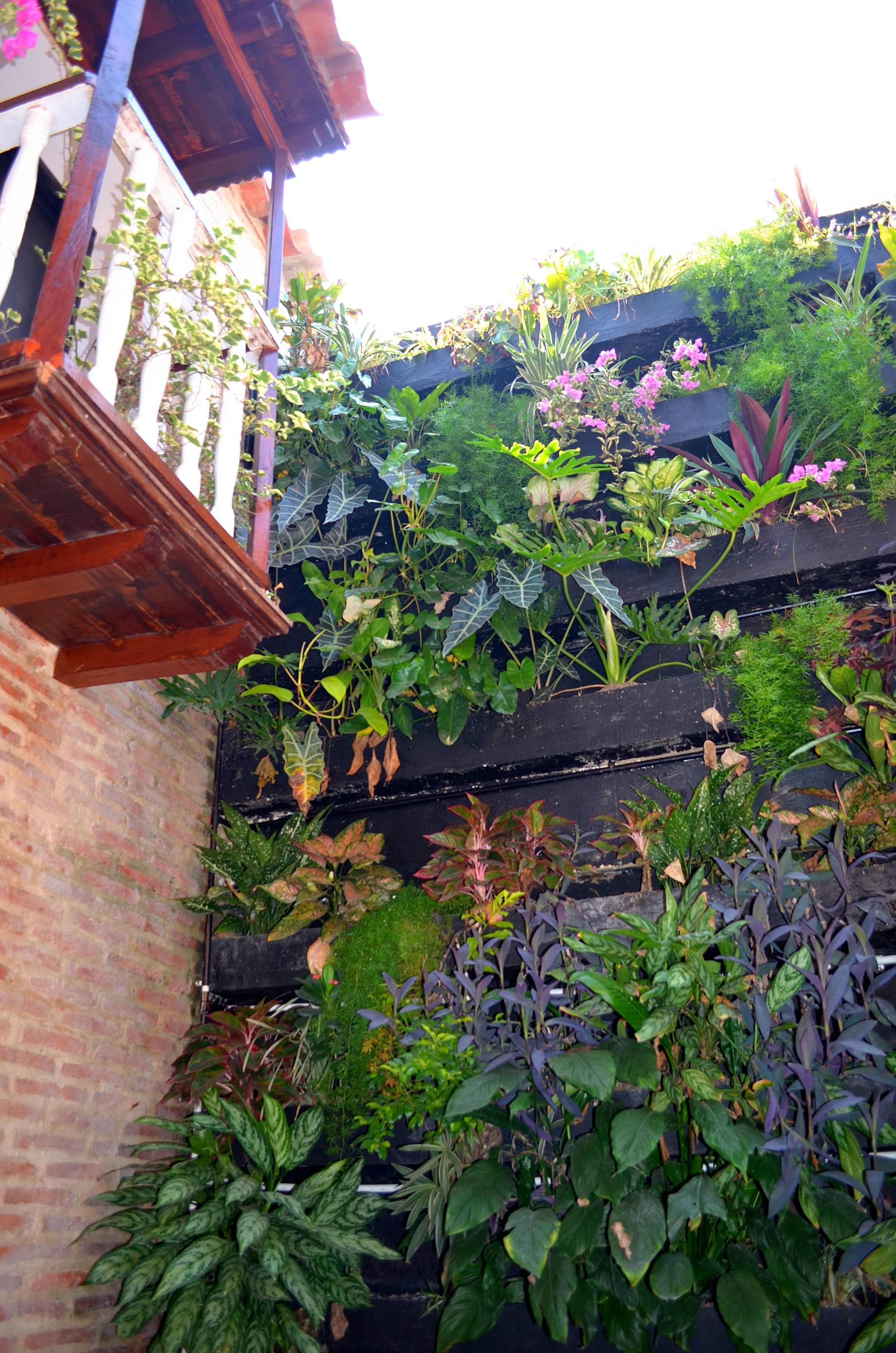 Photo - Hotel Galeria la Trinidad