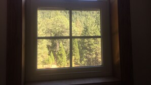 Una ventana con vistas a un área boscosa.