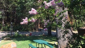 Una mesa de picnic con bancos en un área cubierta de césped, con árboles y una carretera al fondo.