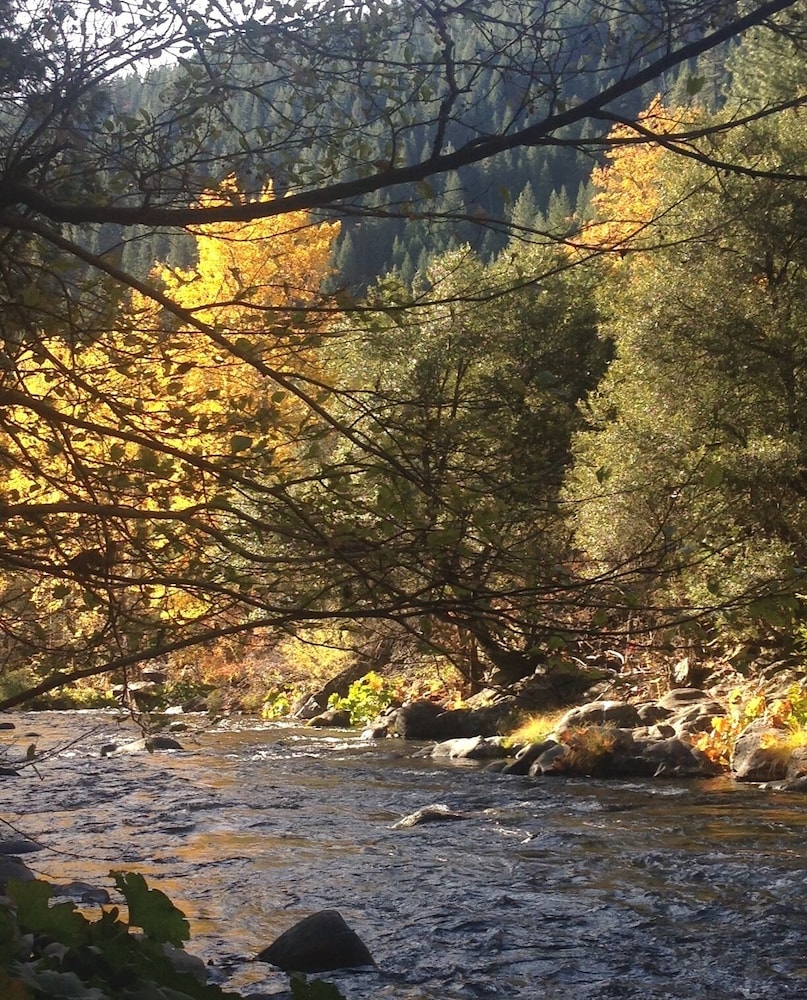 Dunsmuir Lodge by null