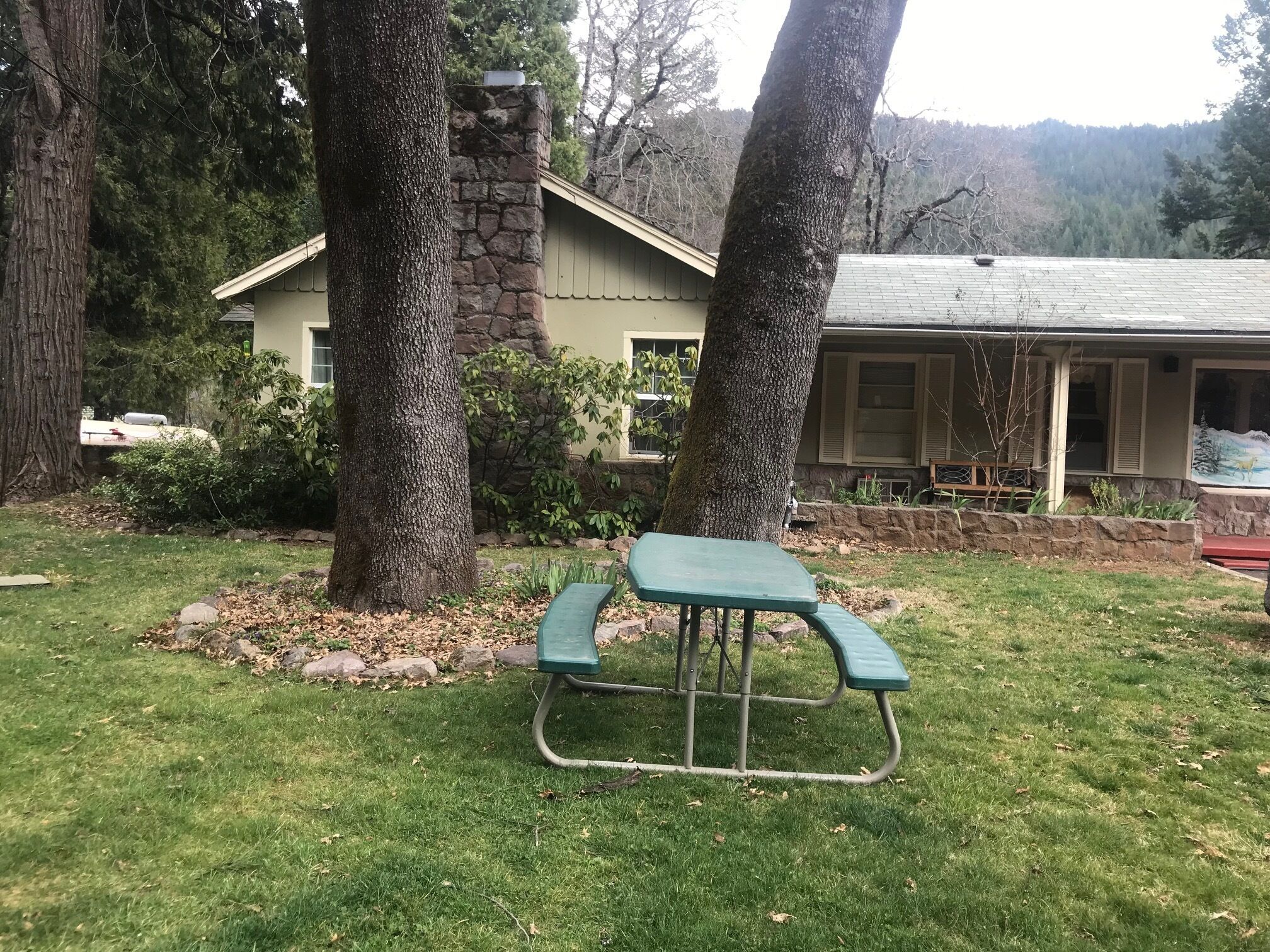 Une table de pique-nique dans une cour verdoyante, avec une cheminée en pierre et une maison en arrière-plan.