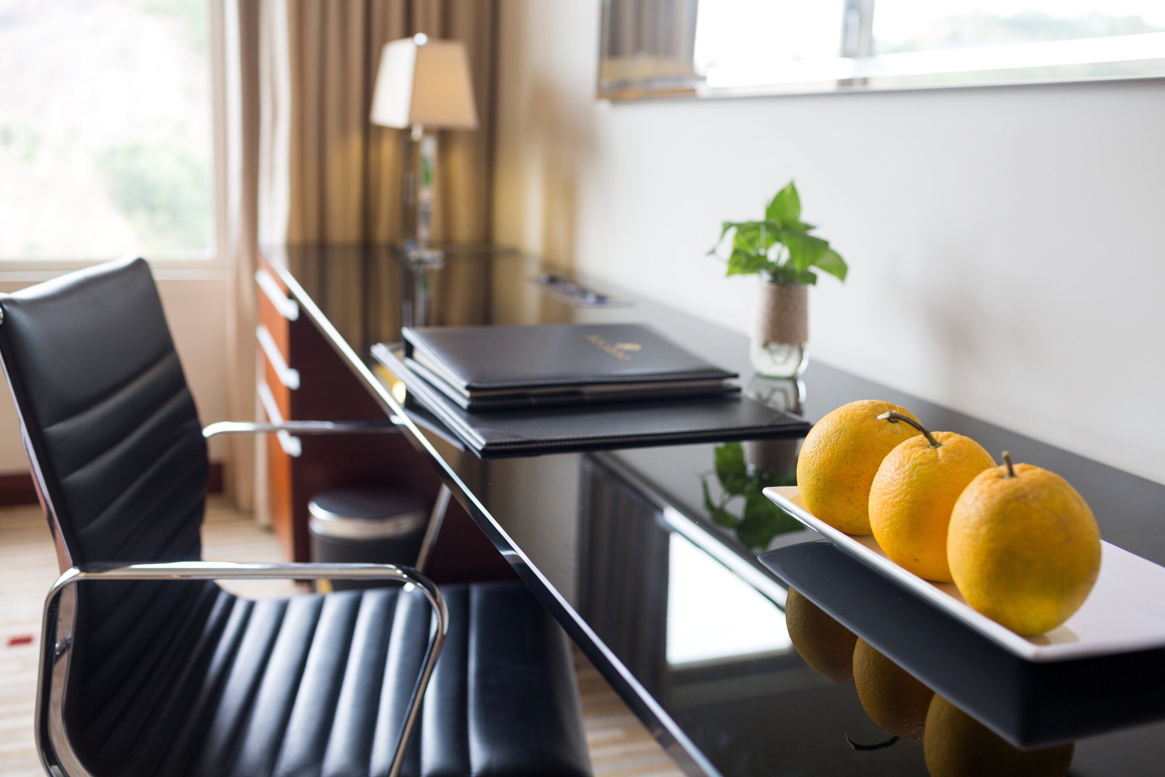 A conference room with a glass table, black chairs, a laptop, and a potted plant.