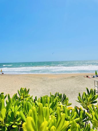On the beach, beach shuttle, sun loungers, beach umbrellas. Minturnae Hotel