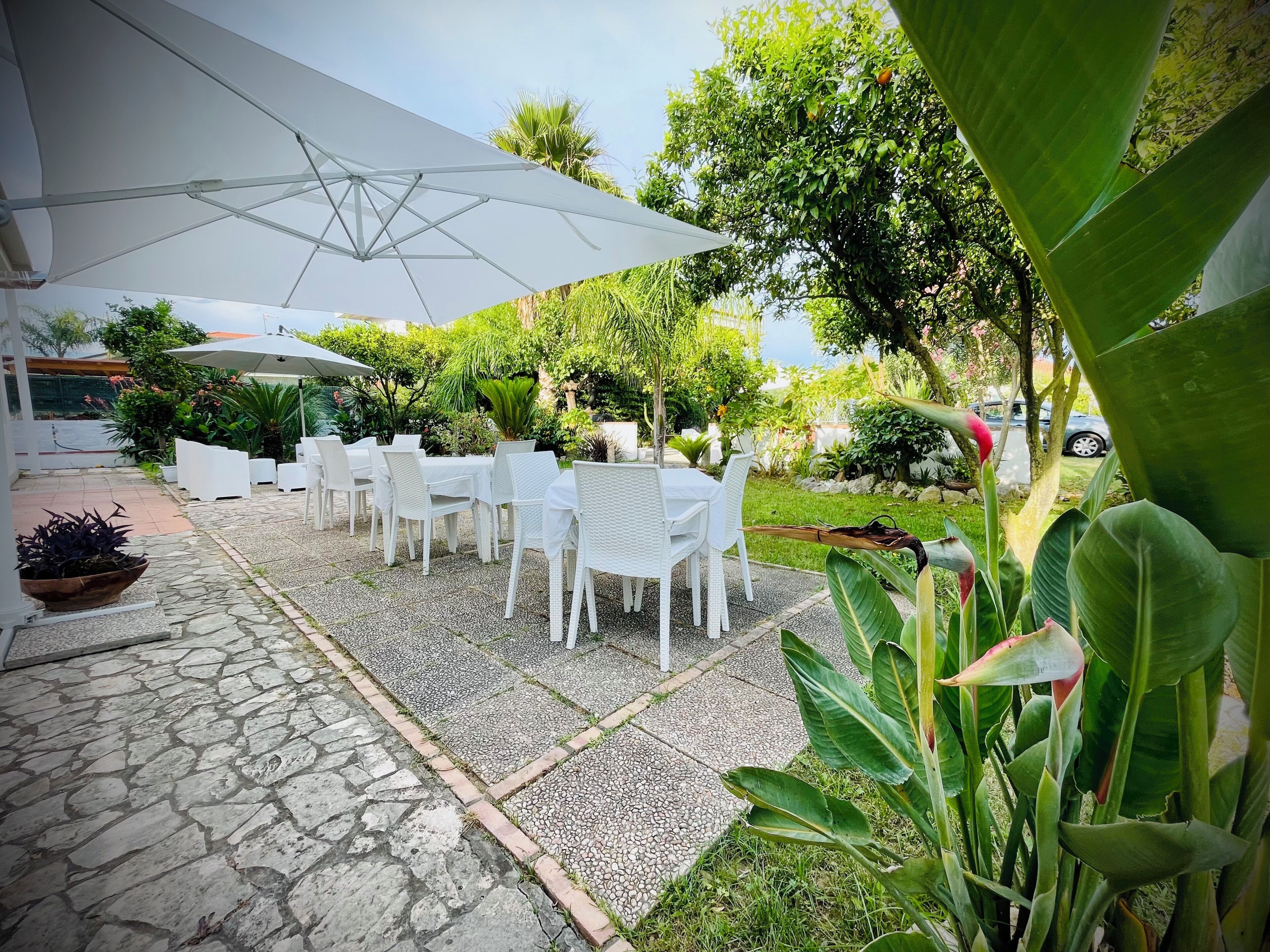 Jardin