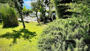 Garden - Minturnae Hotel (Minturno)