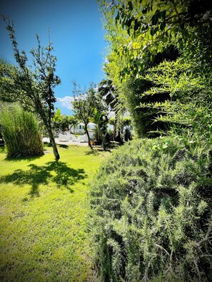 Garden - Minturnae Hotel (Minturno)
