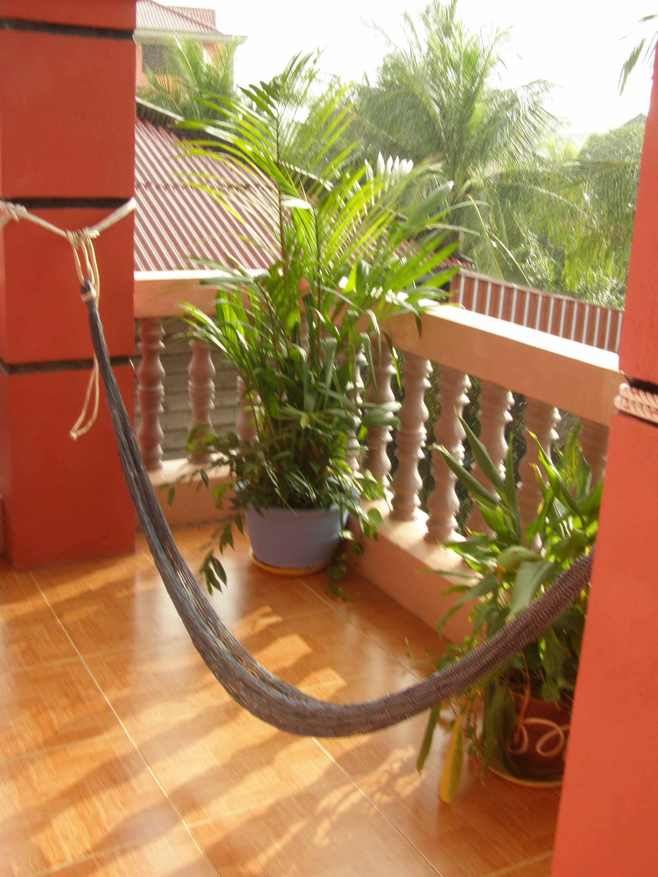 Un balcon avec un plancher en bois, une plante en pot et un hamac.