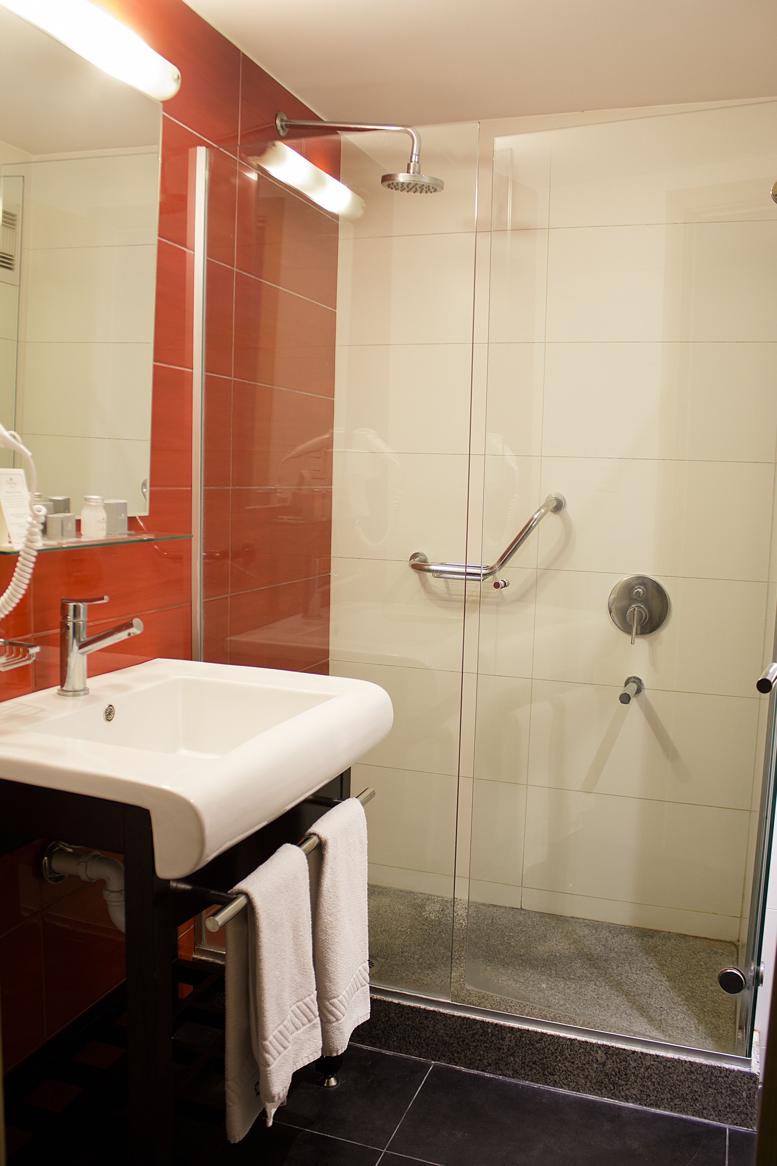 shower, free toiletries, hair dryer, bidet