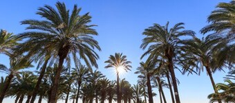 Beatriz Charming Hostal