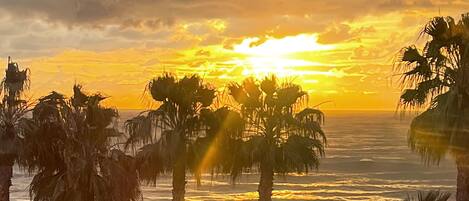 Studio, osittainen merinäköala | Ulkopuoli