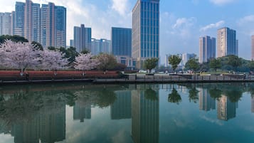 Un paisaje urbano con edificios altos y una masa de agua tranquila que refleja las construcciones.